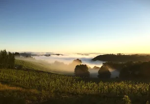 Imagem referente à matéria: Essa pequena vinícola brasileira foi eleita a melhor de 2024 por prestigiado guia internacional