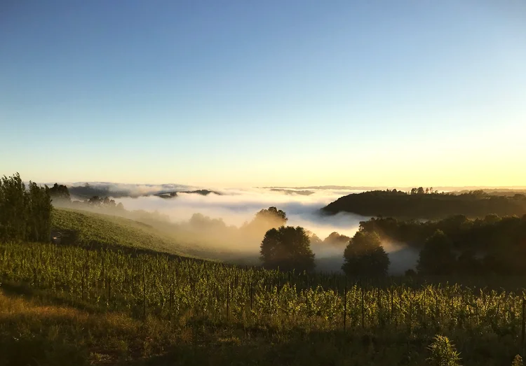 Vinícola Vita Eterna, no Rio Grande do Sul.  (Divulgação/Divulgação)