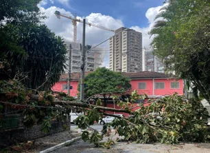 Imagem referente à matéria: Televisão queimada e comida estragada: como pedir ressarcimento pelo apagão em SP?