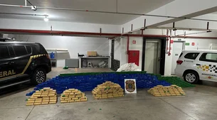 Polícia apreende mais de 800 kg de cocaína avaliados em R$ 50 milhões em SP