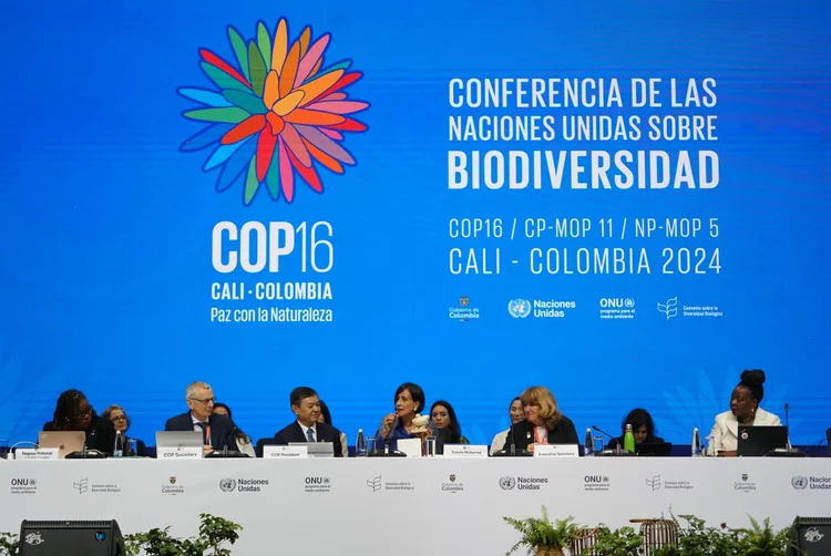 Para Susana Muhamad, ministra do Meio Ambiente da Colômbia e presidente da COP16, a criação do fundo responde a um desafio imposto pela tecnologia