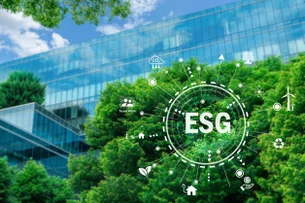 Como o ESG está mudando a cultura das organizações