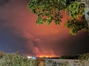 Operação da PF mira incendiários que devastaram 30 mil hectares no Pantanal