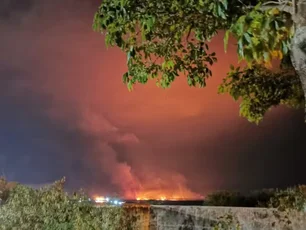 Imagem referente à matéria: Operação da PF mira incendiários que devastaram 30 mil hectares no Pantanal