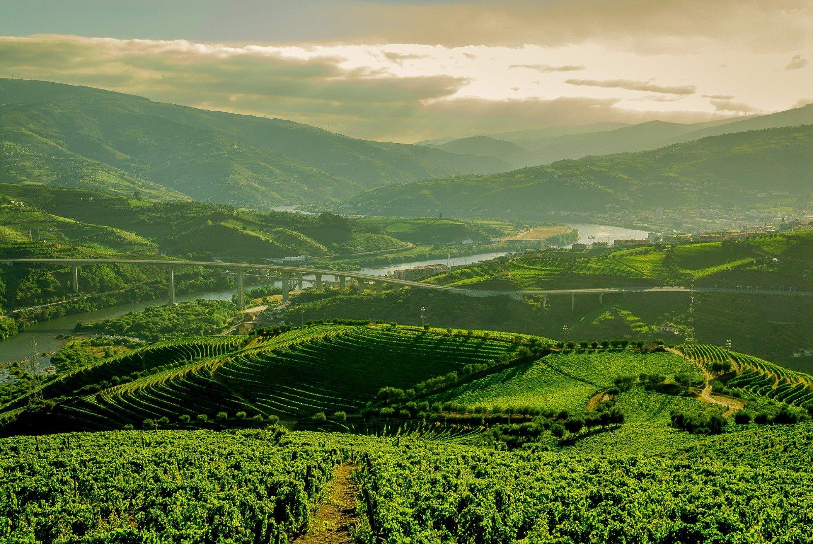 Esse produtor português sabe exatamente qual o vinho preferido dos brasileiros