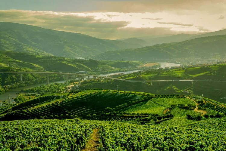 Quinta do Vallado, em Portugal. (Divulgação/Divulgação)