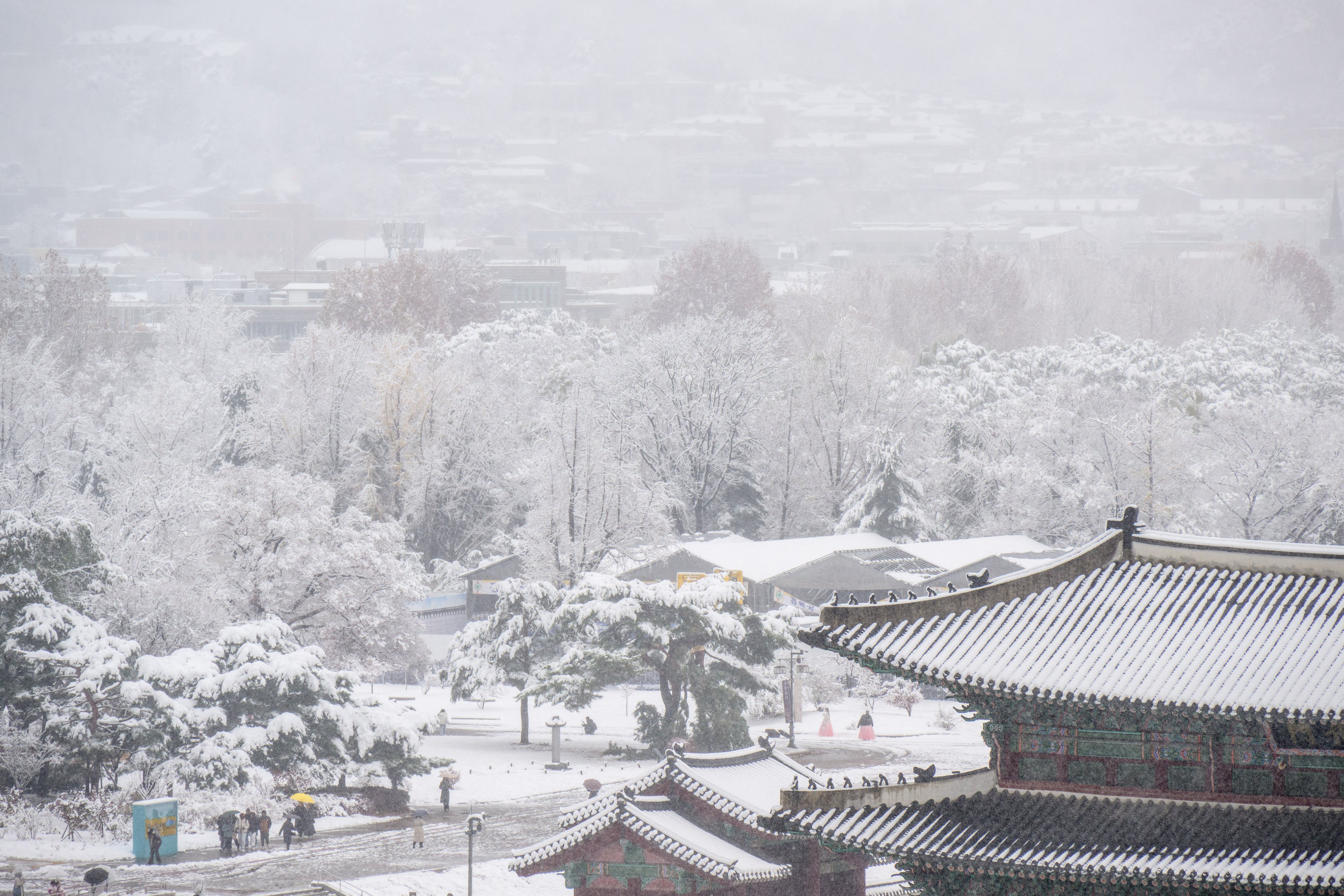 Neve pesada cai no terreno do Palácio Gyeongbokgung, no centro de Seul, em 27 de novembro de 2024. A capital da Coreia do Sul foi coberta em 27 de novembro pela maior nevasca de novembro desde que os registros começaram há mais de um século, disse a agência meteorológica