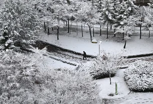 Por que o sal funciona para derreter neve?