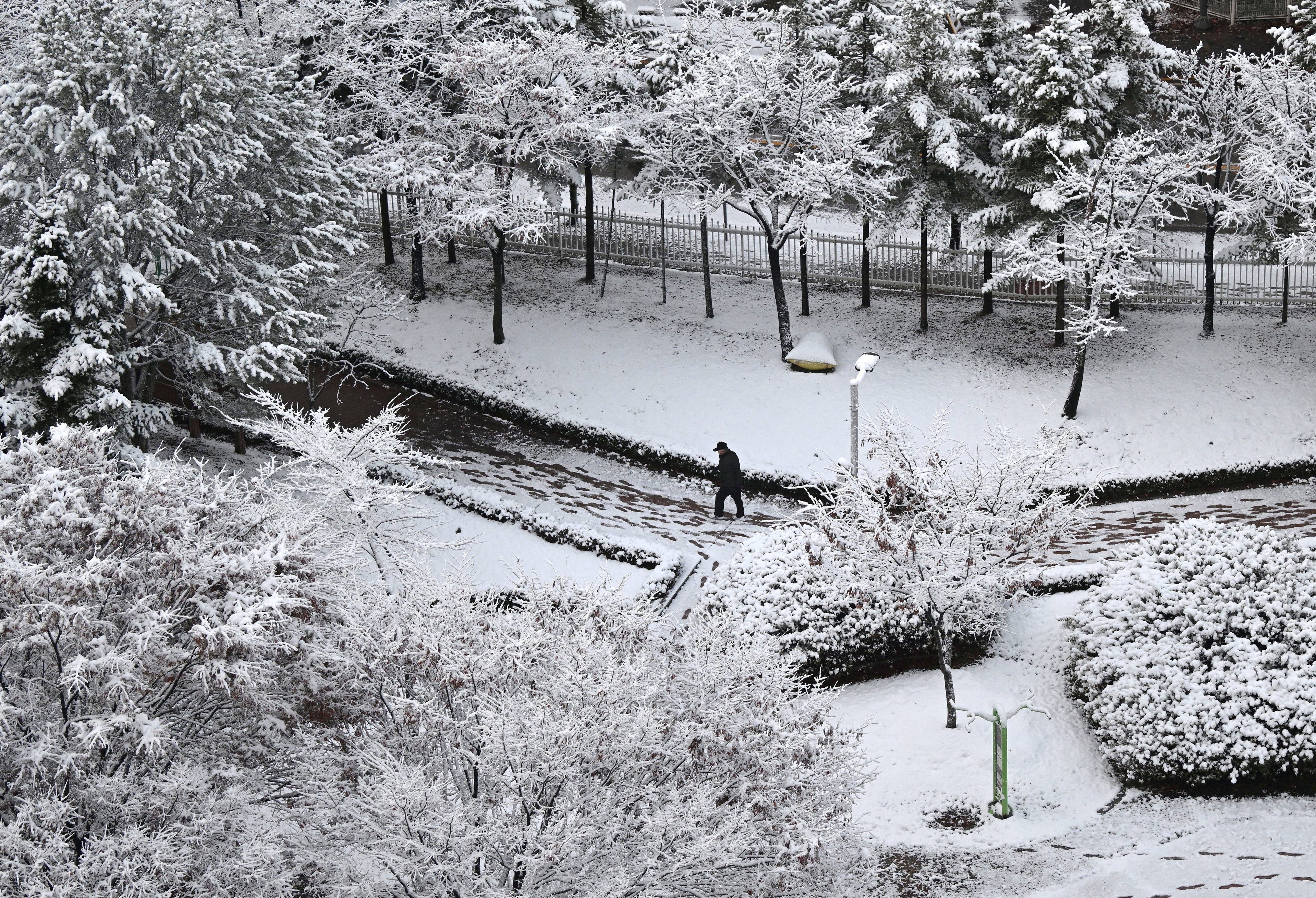 Um homem caminha por um parque coberto de neve após uma nevasca em Goyang em 27 de novembro de 2024