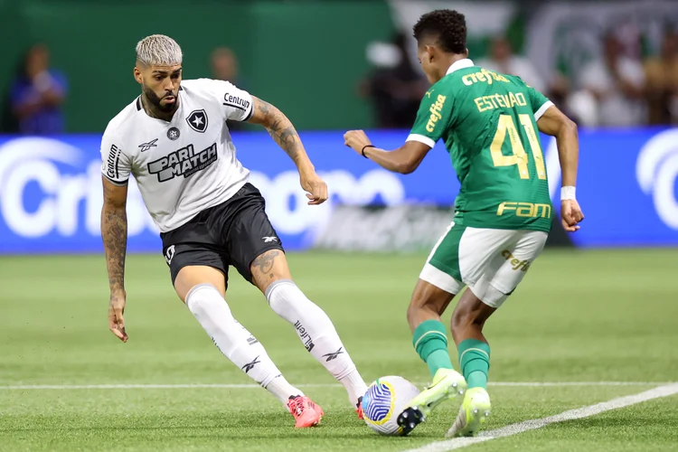 Brasileirão: quem ganha o título em 2024? (Vítor Silva/Botafogo/Divulgação)