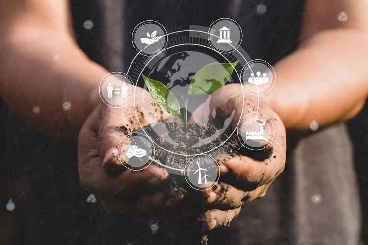 Man hand holding a green plant growing and ESG icon concept on nature field grass Forest conservation concept.ESG Environmental, social and corporate governance concept (AdobeStock)