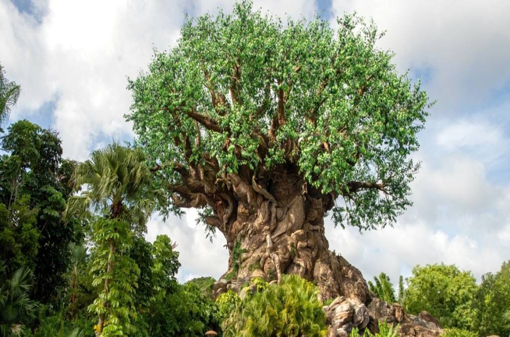 Walt Disney World Resort oferece um universo de inovações e momentos de conexão com a natureza