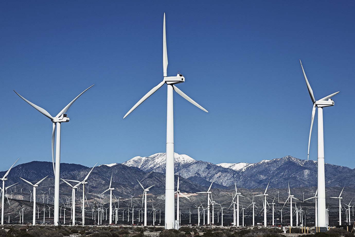 Brasil mantém potencial de liderar geração de energia eólica; entenda quais são os entraves