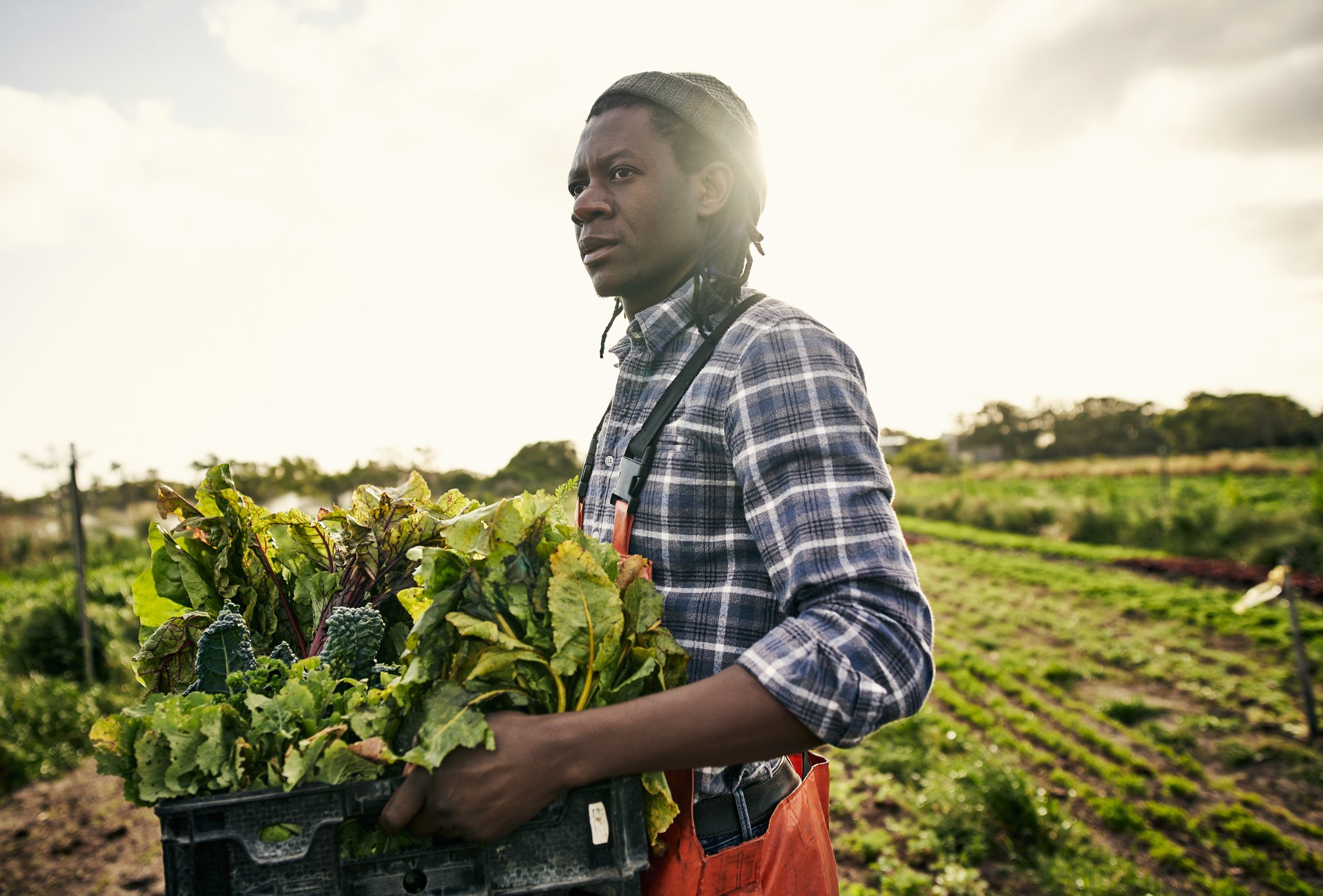 Shot of a young man holding a crate of freshly picked produce on a farm