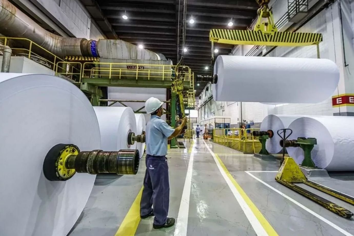 Suzano (SUZB3) registra lucro de R$ 1,96 bi no 3º tri, queda anual de 39%