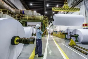 Suzano (SUZB3) registra lucro de R$ 1,96 bi no 3º tri, queda anual de 39%