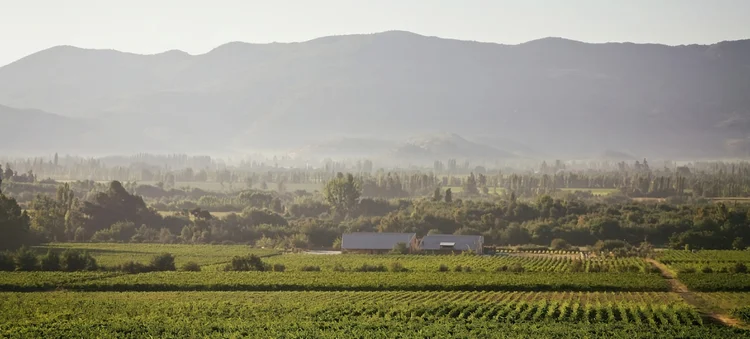 Emiliana: localizada em uma área transversal à cordilheira costeira. (Divulgação/Divulgação)