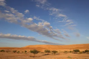 Imagem referente à matéria: Arábia Saudita recebe conferência mundial sobre desertificação