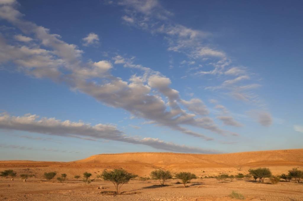 Arábia Saudita recebe conferência mundial sobre desertificação