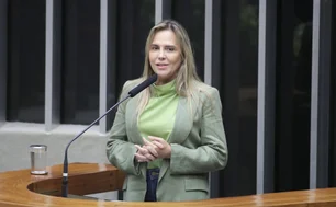 Imagem referente à matéria: Vice-governadora do DF diz que homem tentou entrar no STF antes de explosão