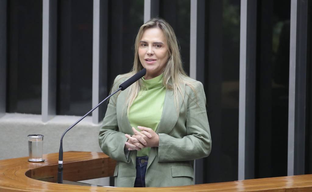 Vice-governadora do DF diz que homem tentou entrar no STF antes de explosão