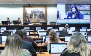 Imagem referente à matéria: CCJ da Câmara aprova projeto que dá porte de arma a agentes de trânsito e os equipara a policiais