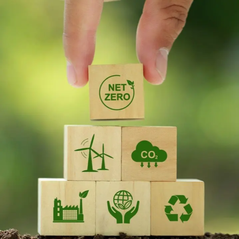 Mercado de Carbono: O desafio de transformar intenção em realidade