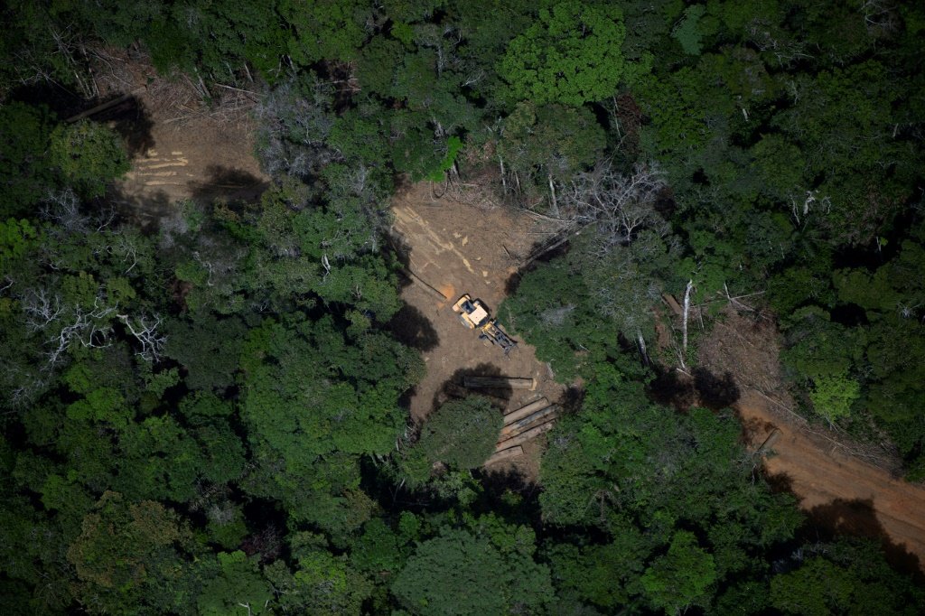 Amazônia Legal registra menor área desmatada em nove anos