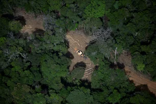 Governo de São Paulo lança guia para agricultores sobre regularização ambiental e reserva legal