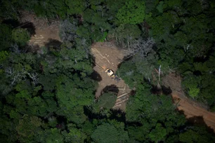 Imagem referente à matéria: Governo de São Paulo lança guia para agricultores sobre regularização ambiental e reserva legal