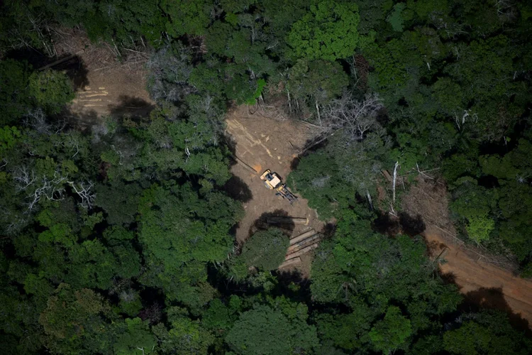 O desmatamento na Amazônia Legal caiu 30,6% entre agosto de 2023 e julho de 2024, segundo dados apresentados pelo Inpe (AFP)