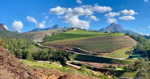 Imagem referente à matéria: Enoturismo ganha espaço em Teresópolis (RJ) com vinícola que une vinho e natureza