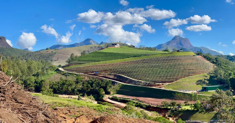 Vinícola da família Maturano: enoturismo com imersão cultural e vinhos de alta qualidade em Teresópolis. (Divulgação/Divulgação)