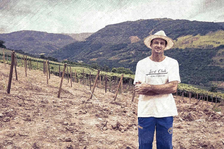 Luciano de Mari, cooperado da Vinícola Aurora: produtor rural perdeu 3 hectares de plantação de uvas (Eduardo Benini / Cooperativa Vinícola Aurora/Divulgação)