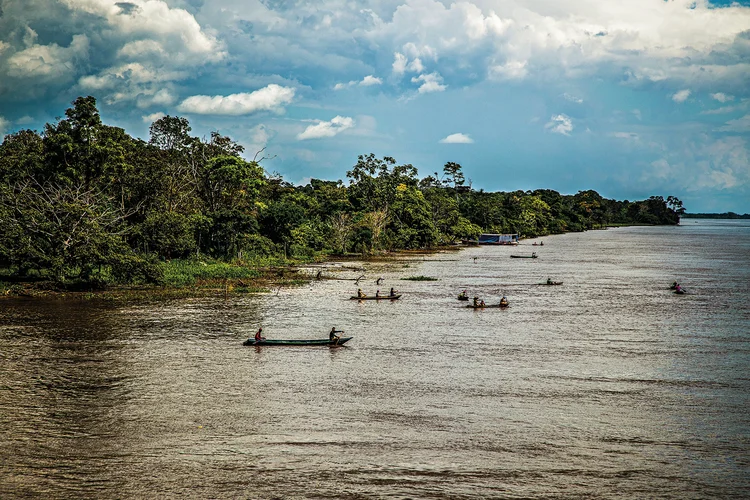 Amazônia: a COP30 colocará a floresta, e o Brasil, nos holofotes globais (Leandro Fonseca/Exame)