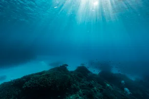 Cientistas revelam o mapa mais detalhado já feito do fundo do mar; veja a imagem