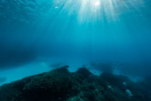 Imagem referente à matéria: Cientistas revelam o mapa mais detalhado já feito do fundo do mar; veja a imagem