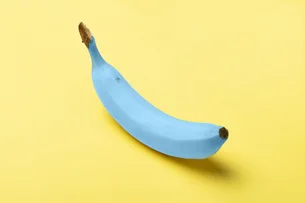 Banana Azul? Fruta existe, tem gosto de sorvete 'famoso' e pode ser achada em locais inimagináveis