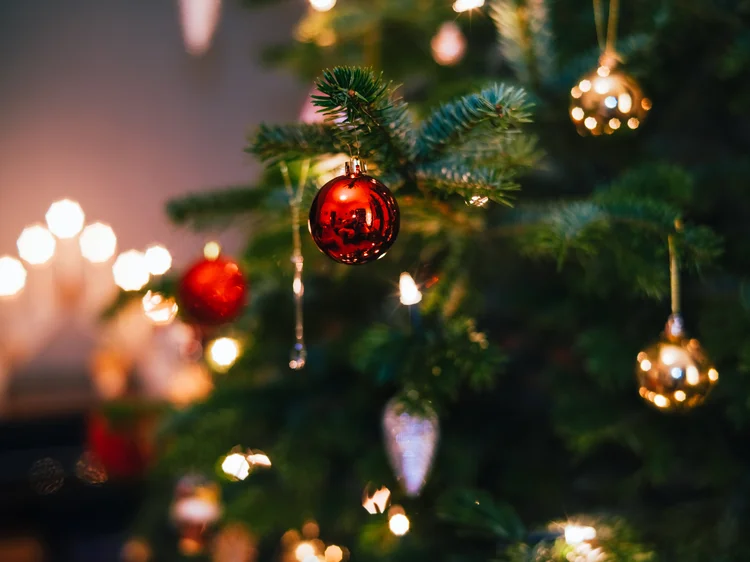 Christmas tree fully decorated, close-up. (Guido Mieth/Getty Images)