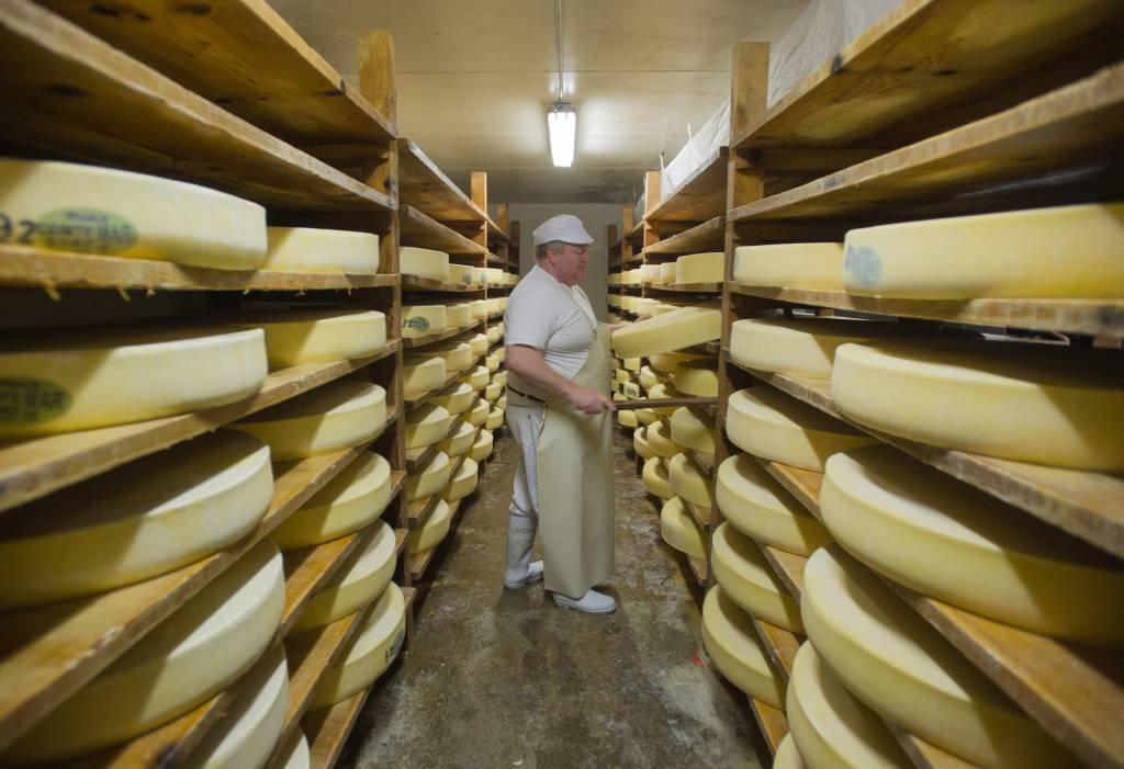 No lar do terroir, o sabor dos queijos pode mudar em breve