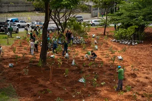 Imagem referente à matéria: Heineken inaugura sua primeira microfloresta com vegetação da Mata Atlântica em Belo Horizonte