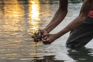 Imagem referente à matéria: Casca de sururu e cera de depilação deixam de ir para o lixo