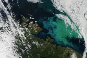 Imagem referente à matéria: Azul da cor do mar? Nem tanto: os oceanos estão mudando de cor em todo o mundo