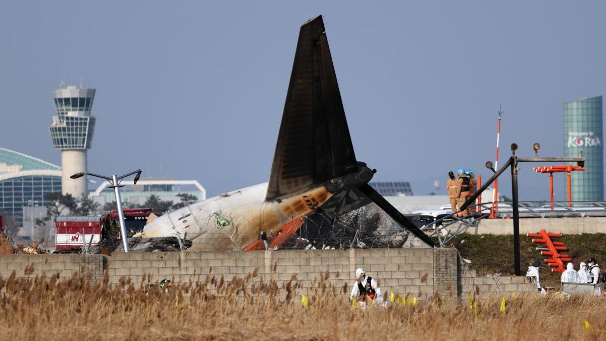 Galeria de fotos de Acidentes de avião marcam reta final de 2024; veja imagens