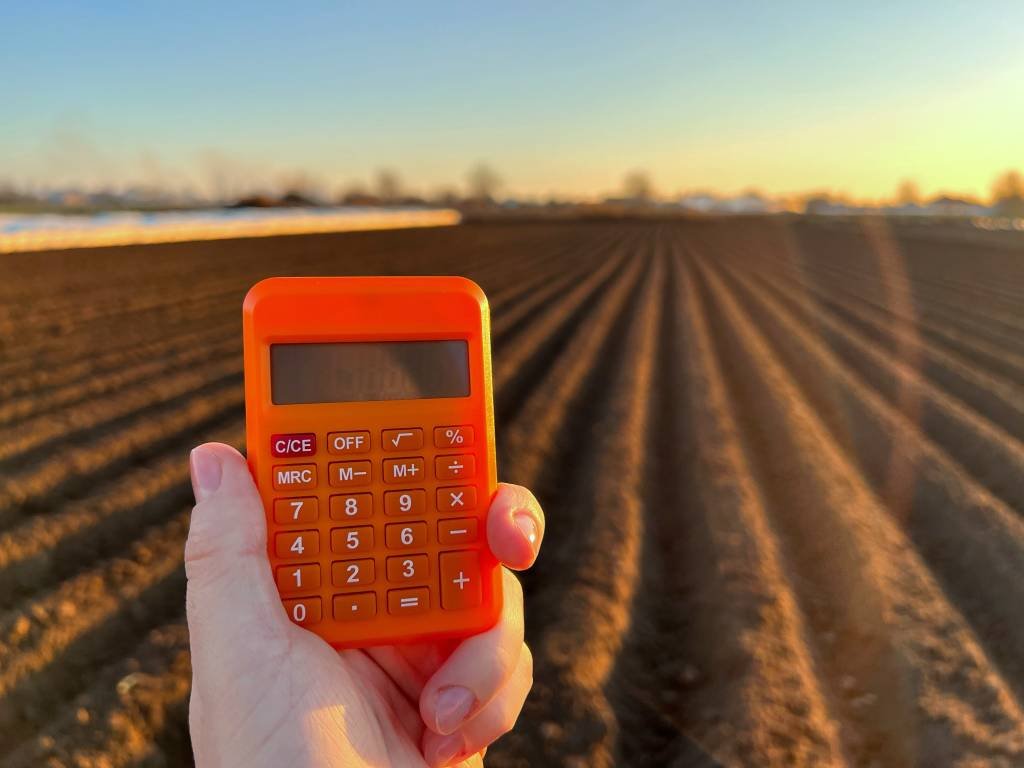 Empreendedorismo rural: Banco do Povo oferece R$ 21 milhões em crédito para negócios do campo