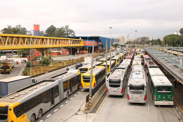 Ônibus em SP: nova tarifa passa a valer em 2025 (Rovena Rosa/Agência Brasil)