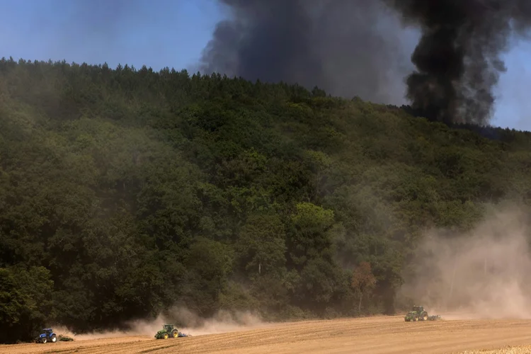 A natureza é o sustento mais da metade da economia global, mas os governos gastam muito mais na destruição do que na conservação (AFP/AFP)