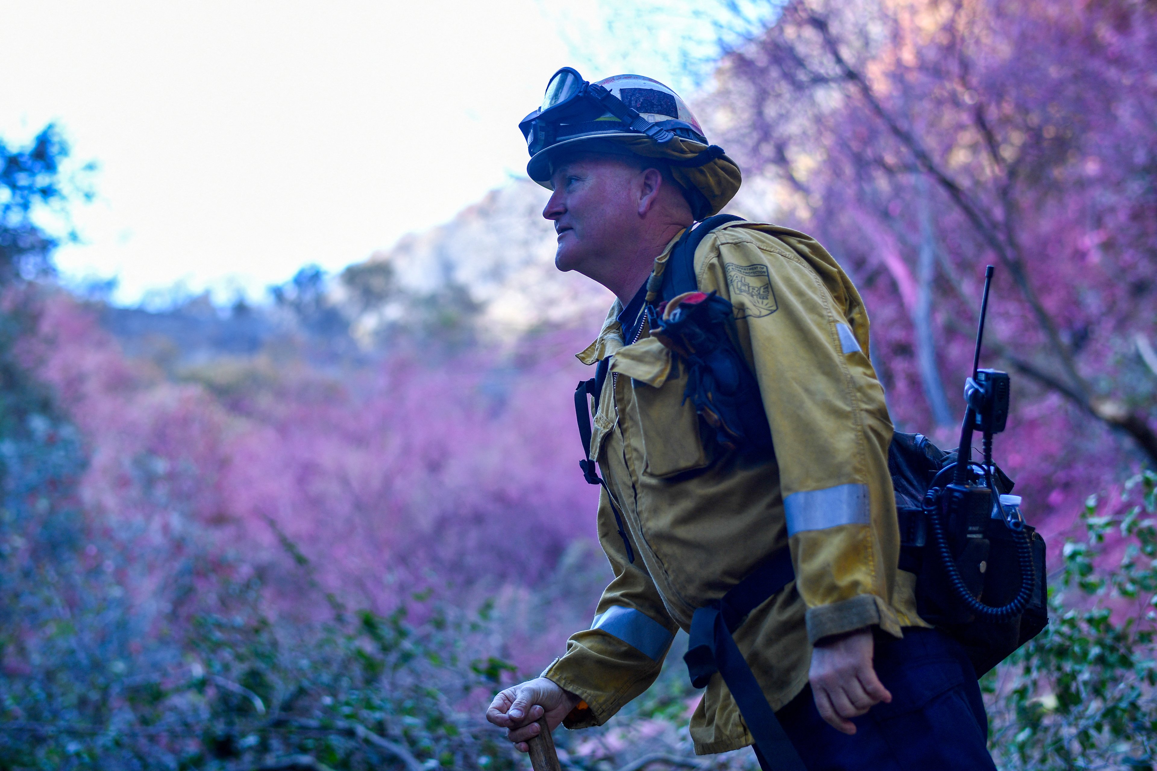 Um bombeiro está em meio à vegetação coberta de retardante de chamas rosa enquanto trabalha para apagar as últimas brasas nas colinas do Mandeville Canyon depois que o Palisades Fire queimou parte dele, em 13 de janeiro de 2025, em Los Angeles, Califórnia.