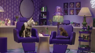 Imagem referente à matéria: No Fantástico, Petlove estreia nova campanha para promover plano de saúde pet