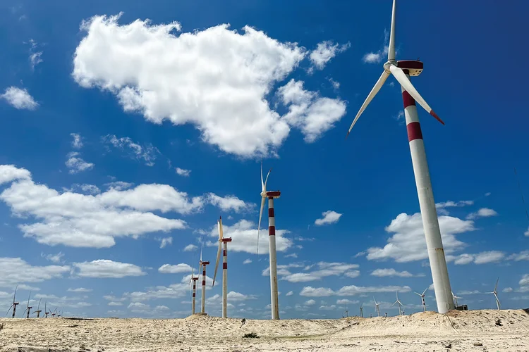 Parque eólico em Camocim, no Ceará: alternativa no vasto cardápio de opções de energias renováveis no Brasil (Carolina Gehlen/Exame)